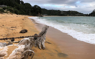 Abel Tasman Nemzeti Park