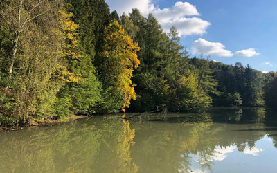 Budafa puszta, arborétum