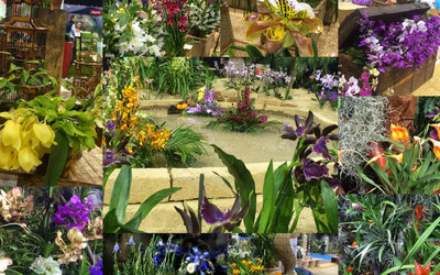 Gardenexpo és orchidea ünnep