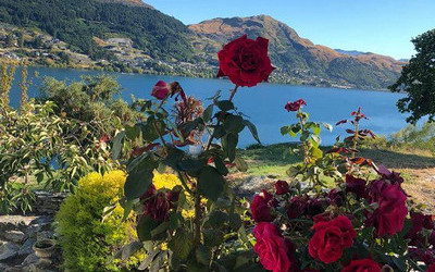 Kert a Wakatipu Lake felett