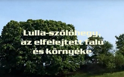 Lulla-szőlőhegy, vissza a természetbe