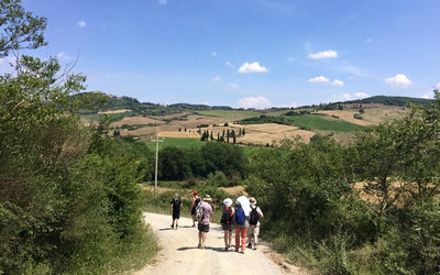 Toscana – tájak, növények, hangulat